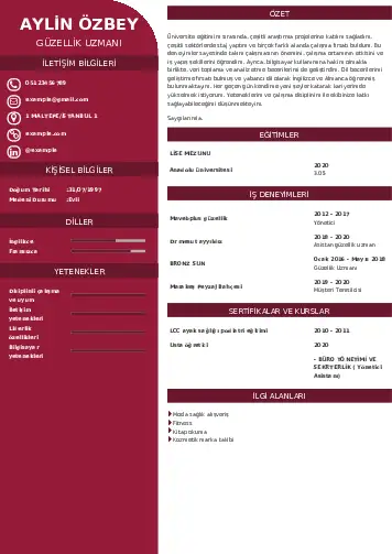 Güzellik Uzmanı Cv Örnekleri  cv indir